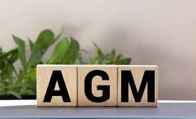 Agm Agm